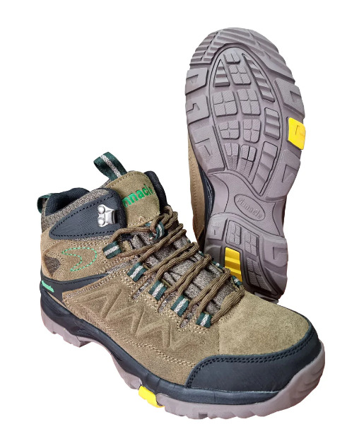 Pinnacle Sobrie Hiking Safety Shoes